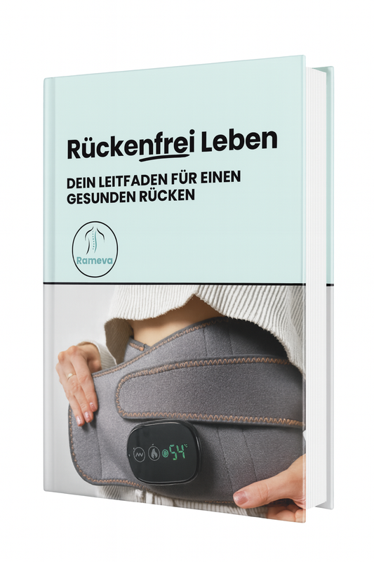 DEIN LEITFADEN ZU EINEM GESUNDEM RÜCKEN E-Book